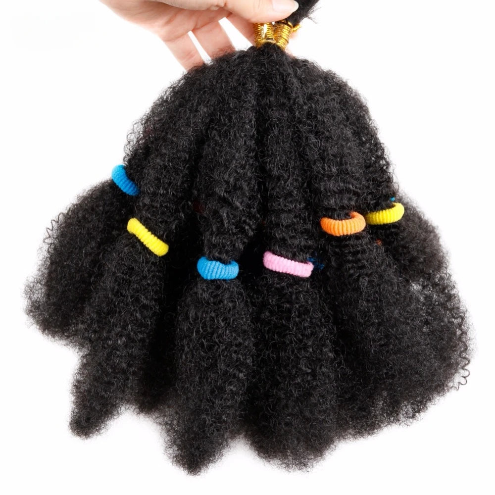 Braids Hair Afro Kinky Bulk Afro Curly Synthetic Hair Short 12" Crochet Braiding Hair Extensions For American African Women - Beauty 4 Us